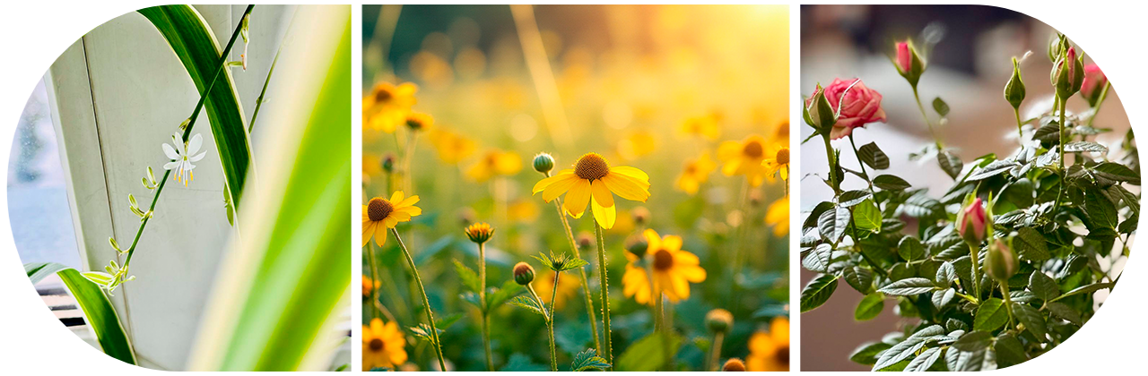 Фотовыставка «Весенний вернисаж» в СибГИУ