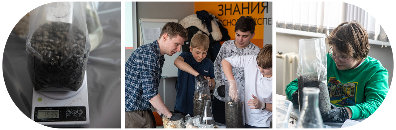 Мастер‑класс в СибГИУ: как вырастить грибной урожай дома