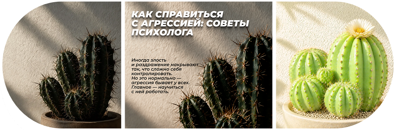 Как вернуть спокойствие: рабочие способы управления агрессией — советы психолога СибГИУ